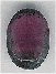 Oval Cabochon - click here for large view